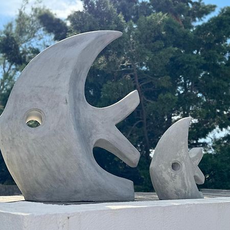 Le Mas De Cocagne Saintes-Maries-de-la-Mer Bagian luar foto