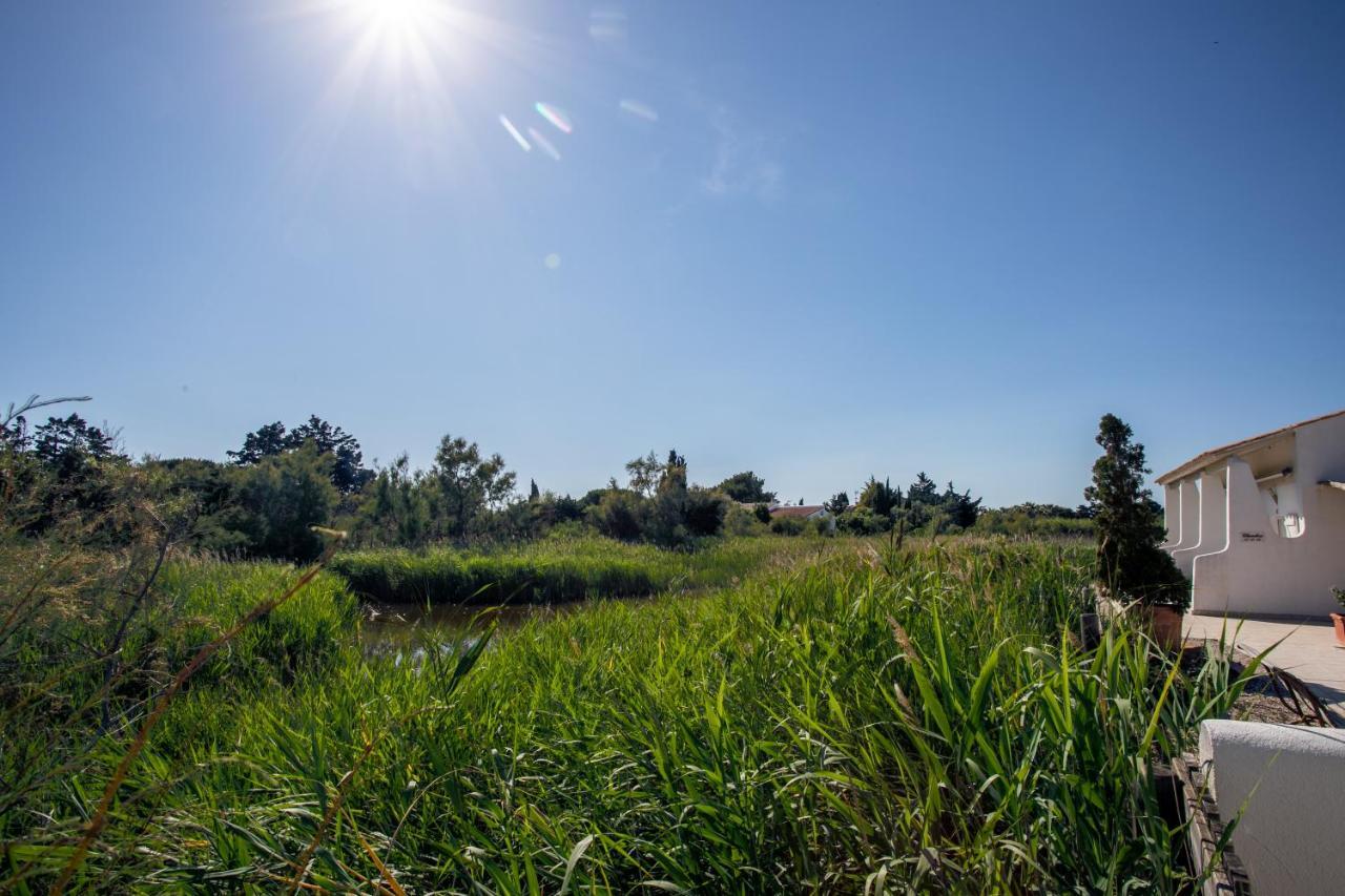 Le Mas De Cocagne Saintes-Maries-de-la-Mer Bagian luar foto