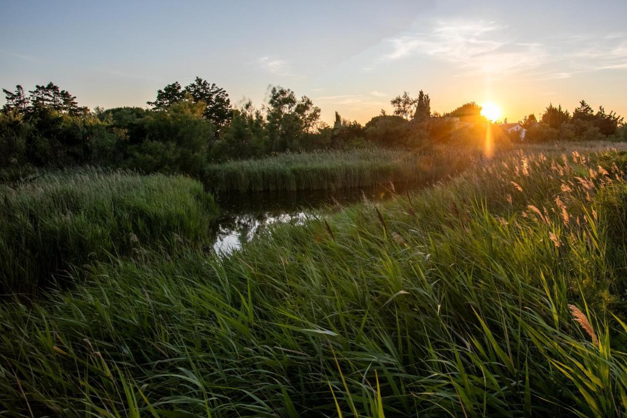 Le Mas De Cocagne Saintes-Maries-de-la-Mer Bagian luar foto