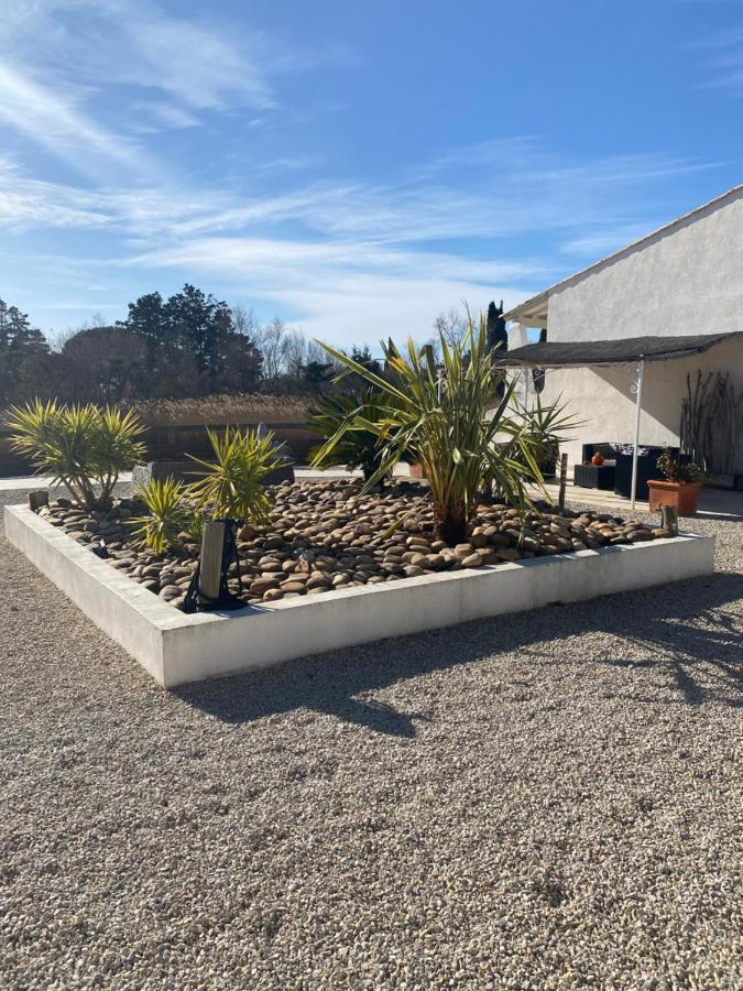 Le Mas De Cocagne Saintes-Maries-de-la-Mer Bagian luar foto